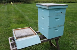 Your cost to start beekeeping includes the purchase of hive components.