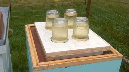 Top feeder jars