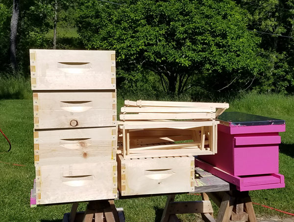 Assembled hive boxes