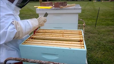 Using the hive tool to lift a frame