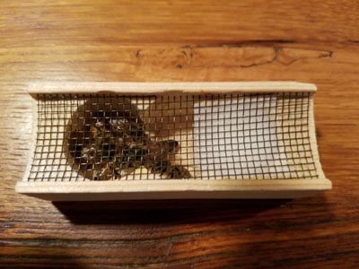 Three hole queen cage