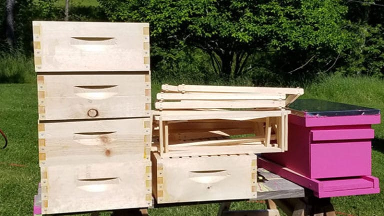 Medium boxes, frames and nuc box