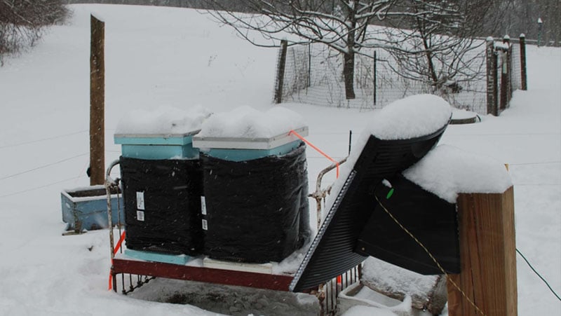 Winterized hives