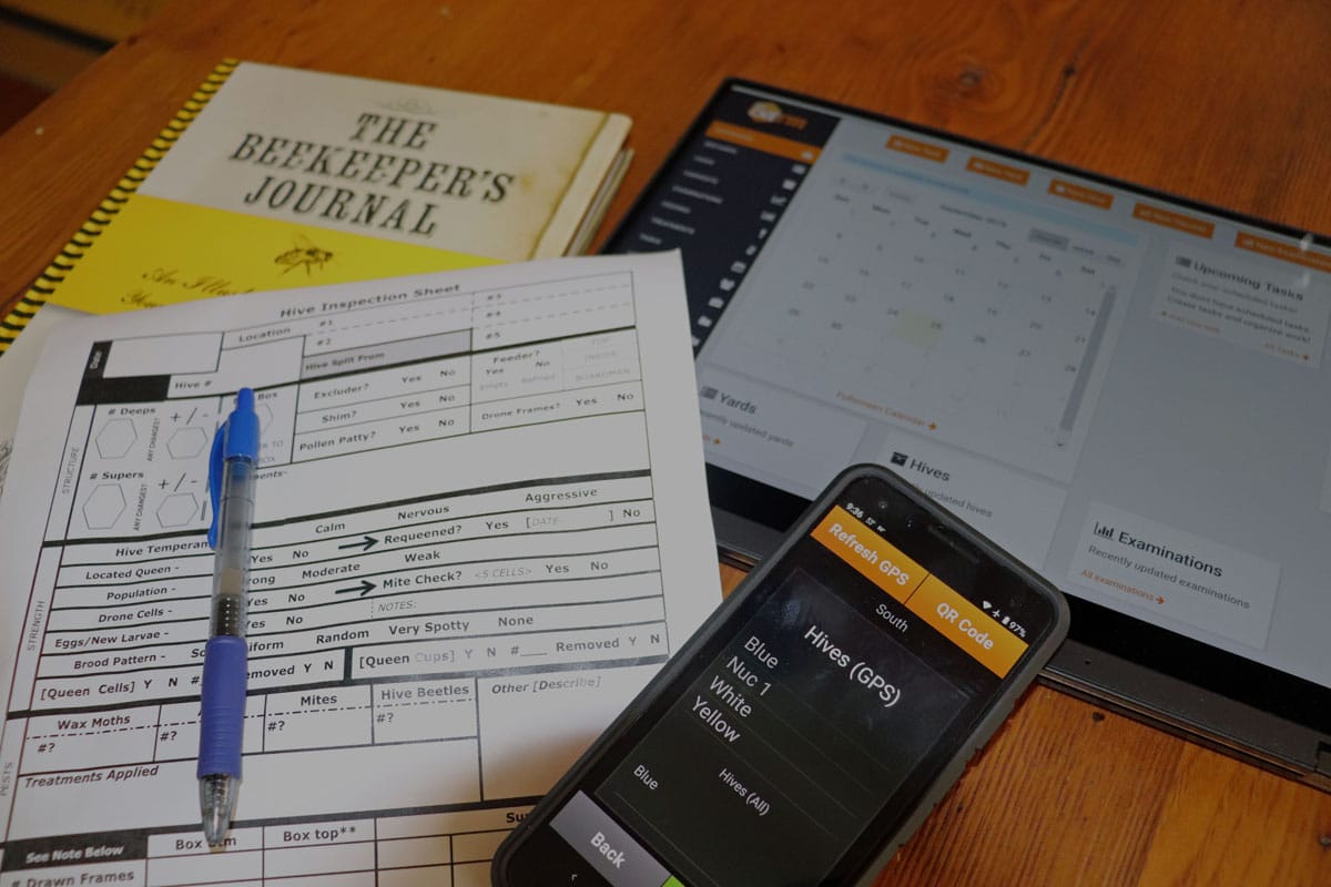 Beekeeping record options