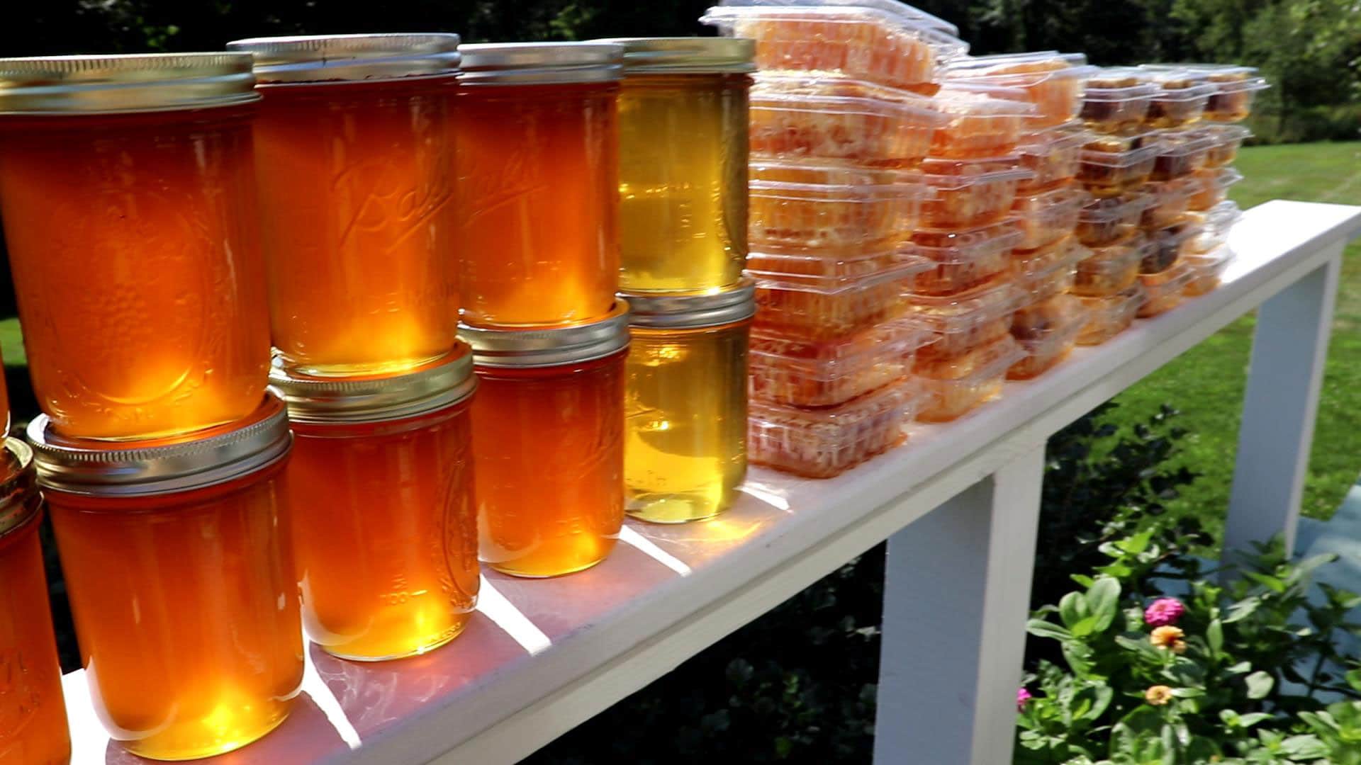 Honey and honeycomb
