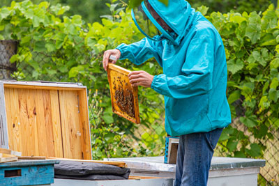 Blue beekeeping jacket