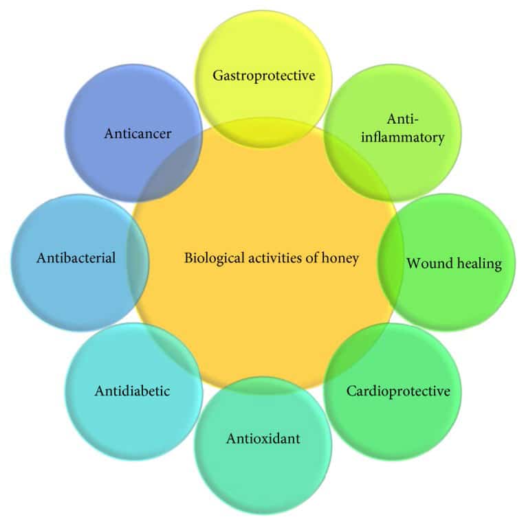 Biological activities of honey