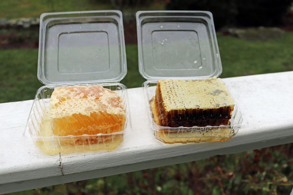 Can you eat honeycomb? Yes. Here's how to eat honeycomb