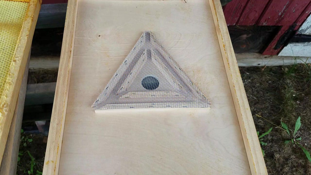 Triangle bee escape