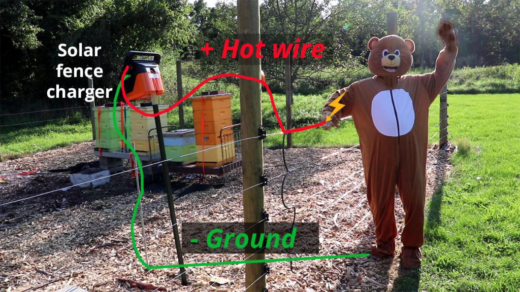 Image of how an electric fence delivers a shock with a completed circuit.