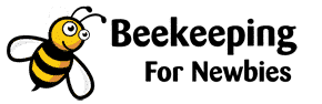 Beekeeping For Newbies