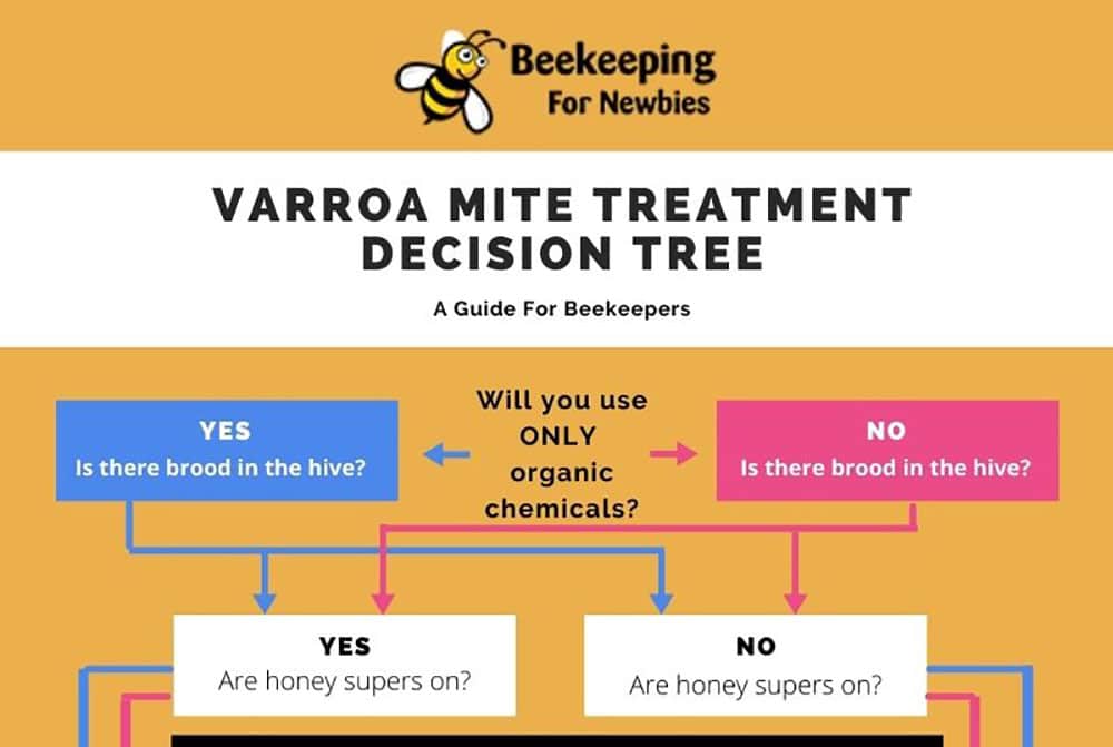 Best Varroa Mite Treatment (How To Choose)