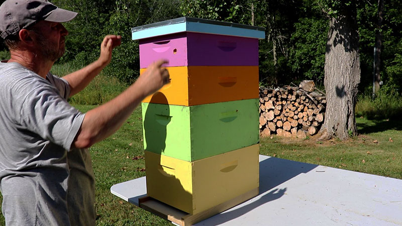 How To Set Up Your Beehive (It’s Easy!)