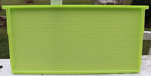 Green plastic drone brood frame and foundation