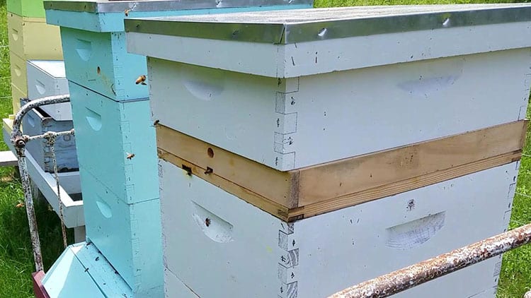 Honey Bee House Bee Hives with No Frames Bee Keeping Supplies Starter Kit for Beginners CO-Z Bee Hive Langstroth Beehive for Beekeeper Starter 5 Layer Beehive Bee Box 