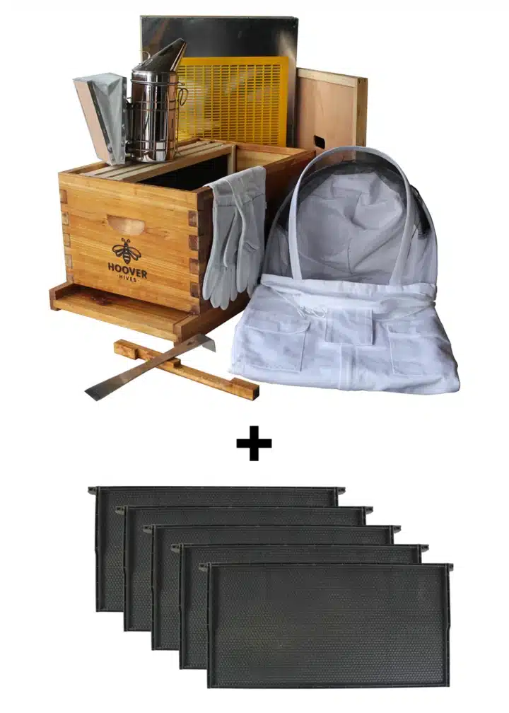 Hoover Hives 8 frame starter kit
