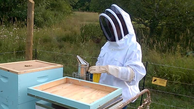 Why are bee suits white? Melanie in a white bee jacket