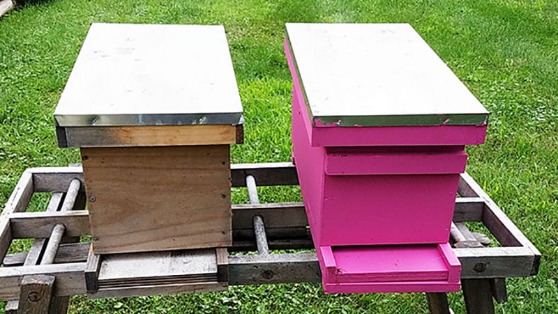 Wood nuc boxes