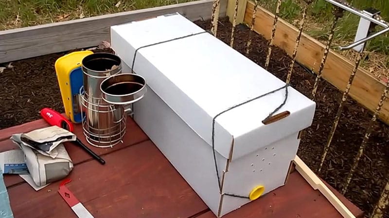 What is a nuc? Waxed cardboard nuc box
