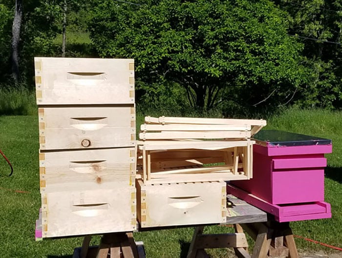 How To Assemble A Hive Body (Assembling A Langstroth Beehive)