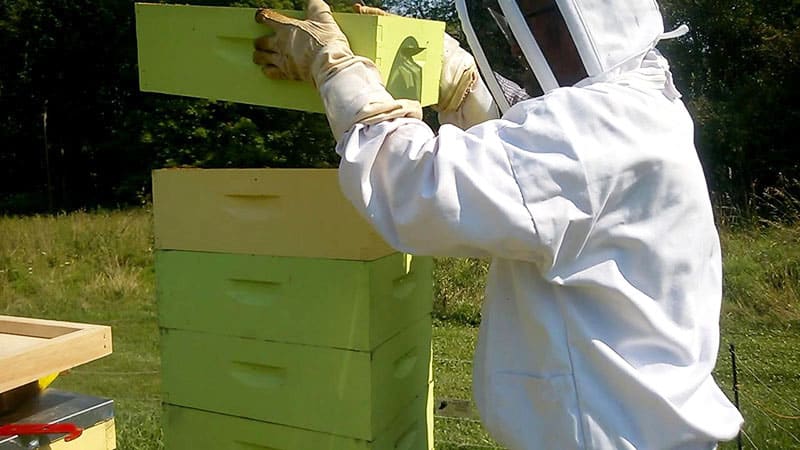 How & when to add honey supers