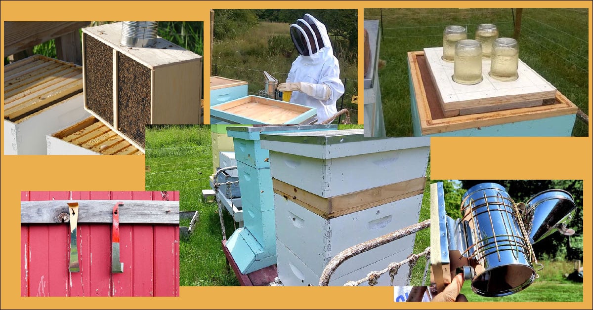 Beginning beekeeping supplies